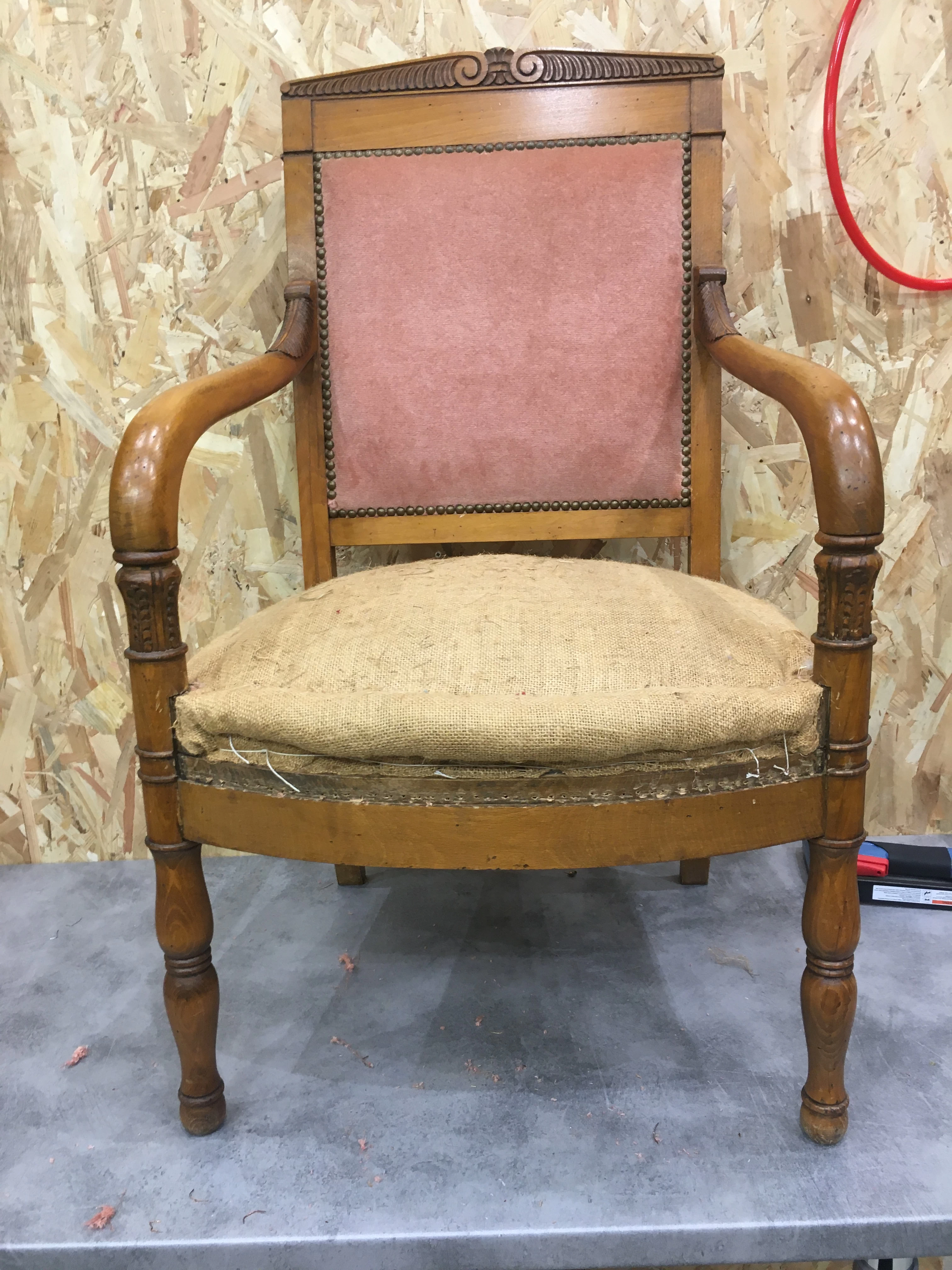 directoire chien tapissier uzes