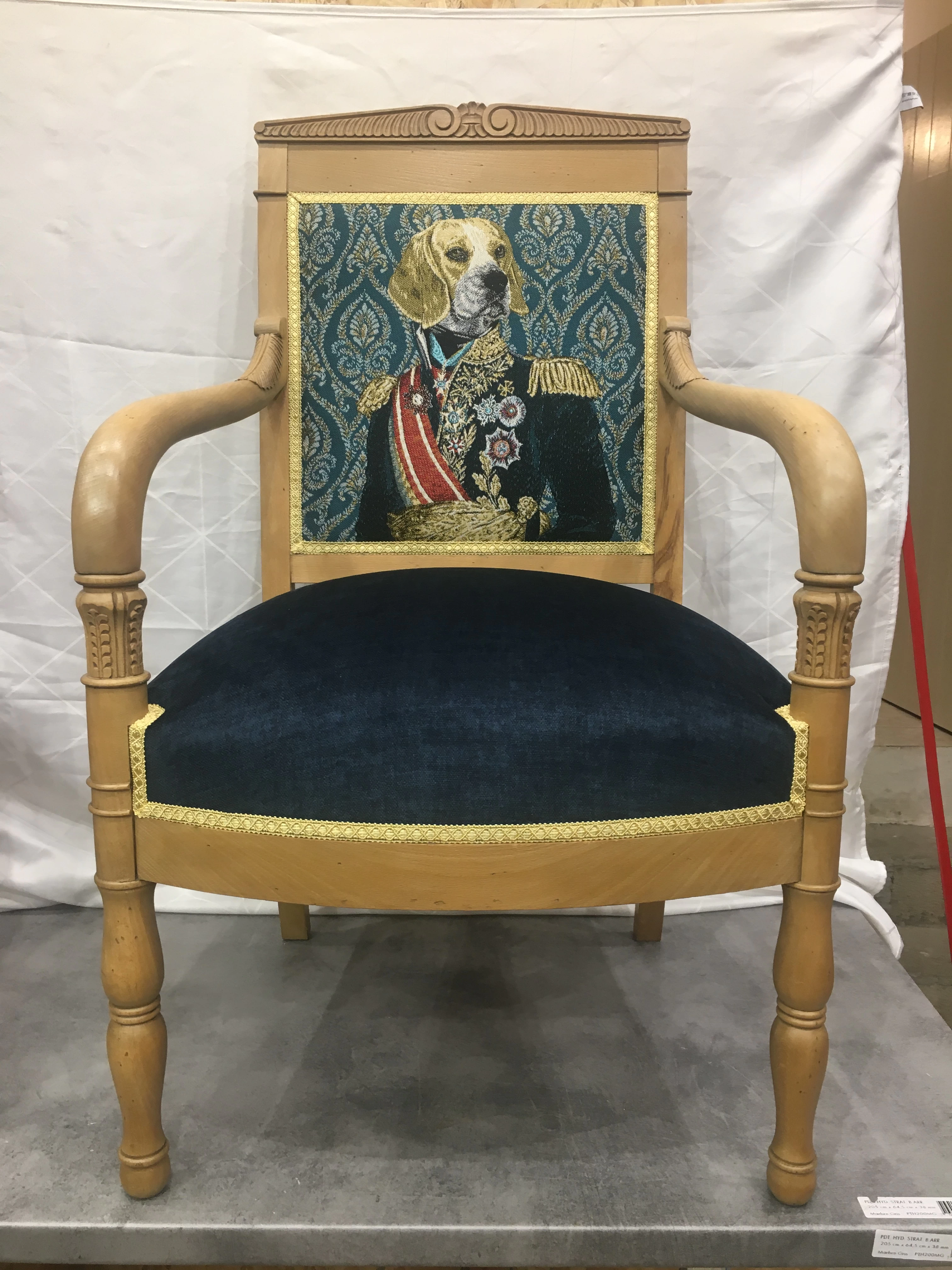 directoire chien tapissier uzes